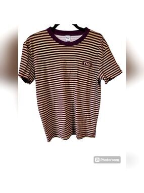 Aritzia Tna striped tee
